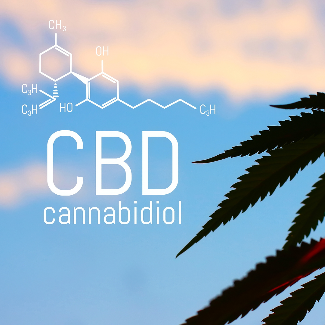 Stay Polite Hemp Cannabinoids